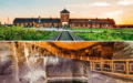 Auschwitz Birkenau & Salzbergwerk an einem Tag