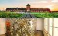 Auschwitz-Birkenau & Schindler Fabrik Tour