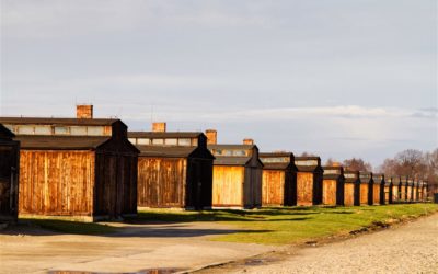 Barracks in Birkenau
